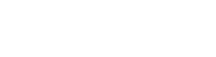 ASİSS GROUP